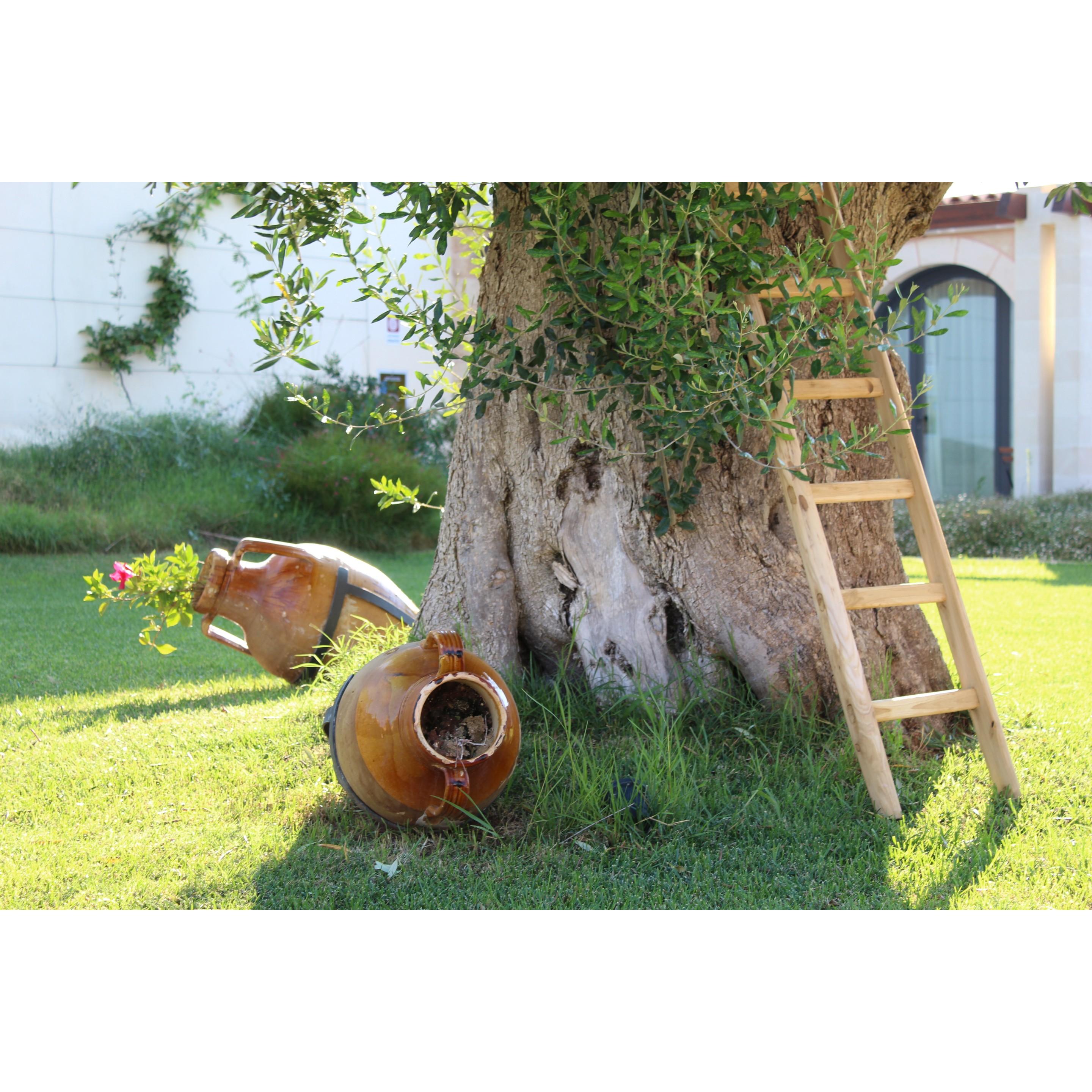 Masseria Stali, The Originals Relais Caprarica di Lecce ภายนอก รูปภาพ